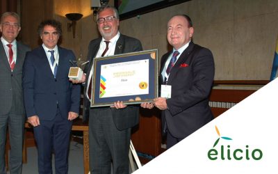 Alibunar Winf Farm – Project of the year