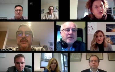 ONLINE MEETING OF THE REPRESENTATIVES OF THE MIXED CHAMBERS AND BUSINESS ASSOCIATIONS WITH THE CCIS